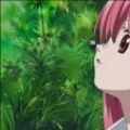 Avatar: Panios